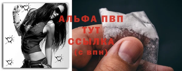 ECSTASY Кукмор