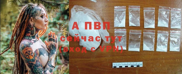 ECSTASY Кукмор