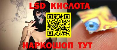 мяу мяу мука Камышлов