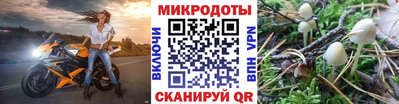 Галлюциногенные грибы мухоморы  Топки 