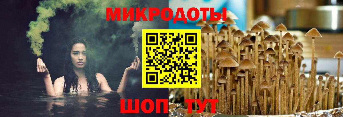 Галлюциногенные грибы прущие грибы  Псилоцибиновые грибы Psilocybe  Вход с VPN  Топки 