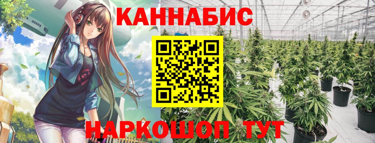 Шишки марихуана White Widow Топки
